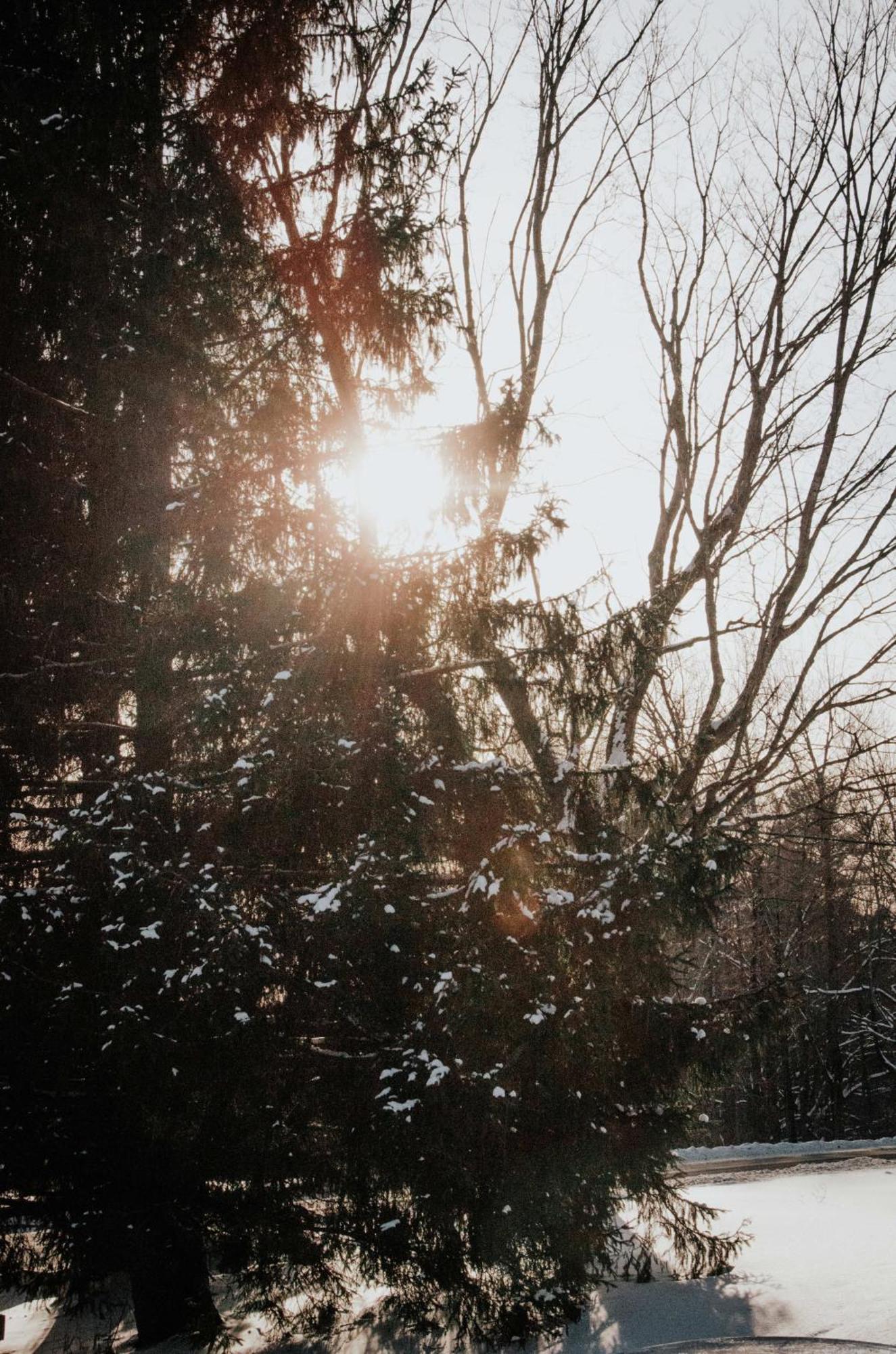Suite 107 - Destination Mont-Orford Magog Bagian luar foto